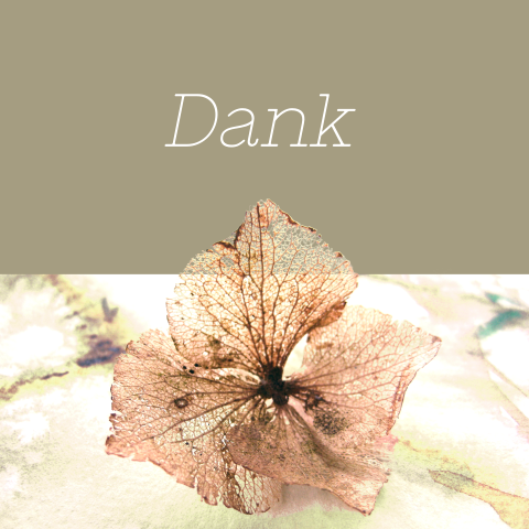 Mooie bedankkaart met gedroogde hortensia bloem