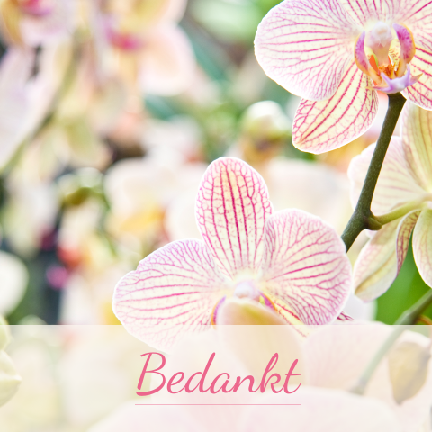 Bedankkaart rouw met orchidee