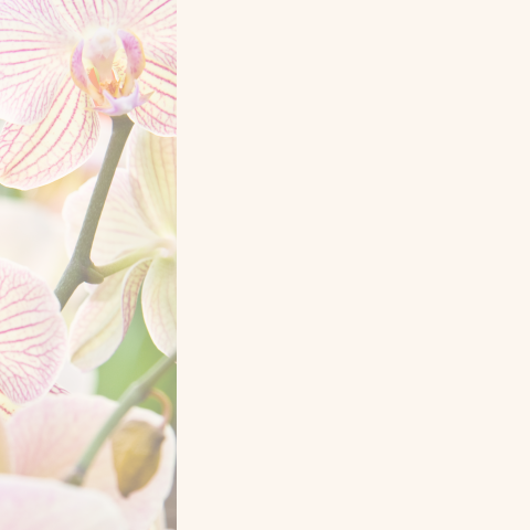 Bedankkaart rouw met orchidee