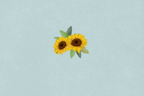 Blauwe overlijdenskaart met zonnebloemen