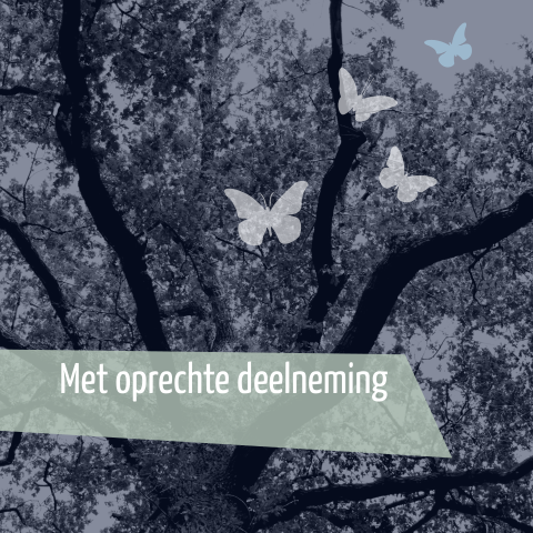 Condoleancekaart met getekende vogel en vlinders op een boomfoto