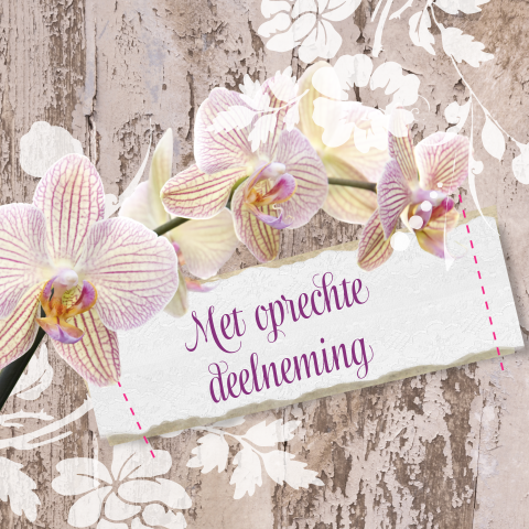 Condoleancekaart met orchidee op boomschors
