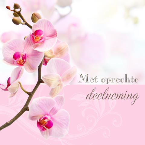 Condoleancekaart met roze orchidee