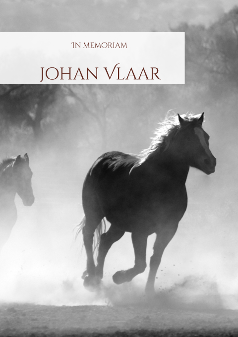 Bidprentje met foto van paarden in zwart wit