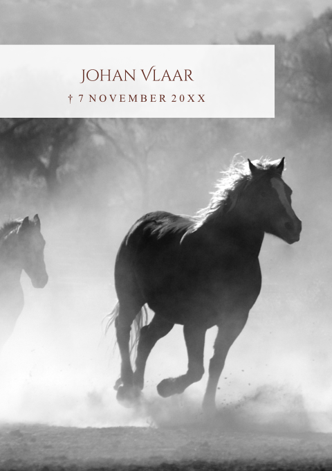 Rouwbrief met foto van paarden in zwart wit