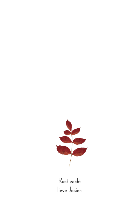 Moderne rouwkaart met blad in herfstkleuren