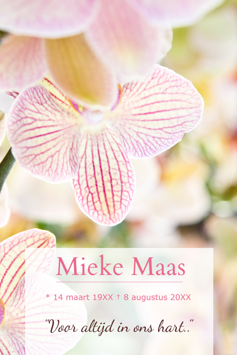 Kleurrijke rouwkaart met orchidee