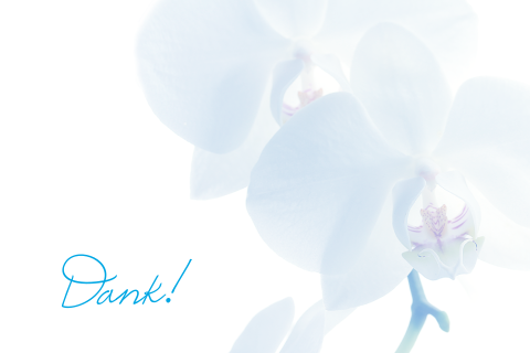 Bedankkaart met een orchidee