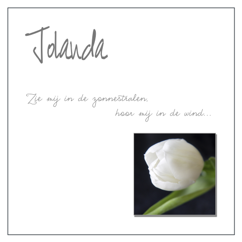 Rouwkaart met witte tulp