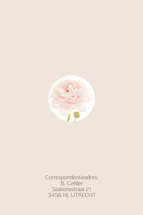 Rouwkaart met prachtige bloem in roze