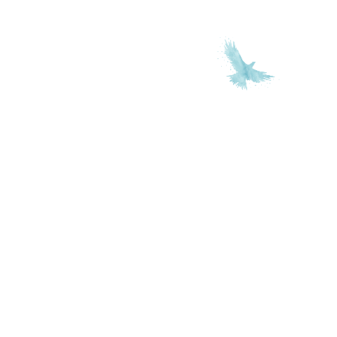 Mooie rouwkaart met vogel op waterverf achtergrond