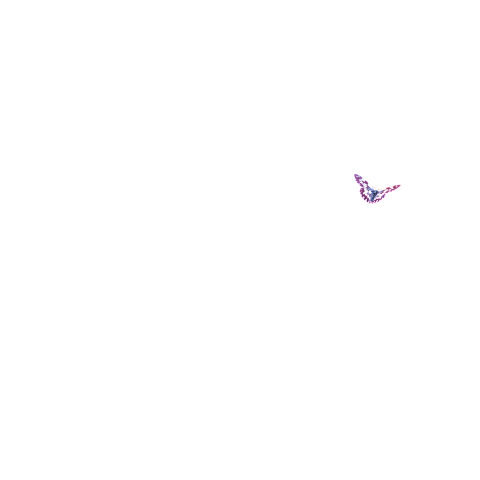 Mooie vlinder op bloesem in lila tint
