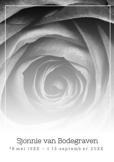 Stijlvolle rouwbrief met een roos in zwart wit